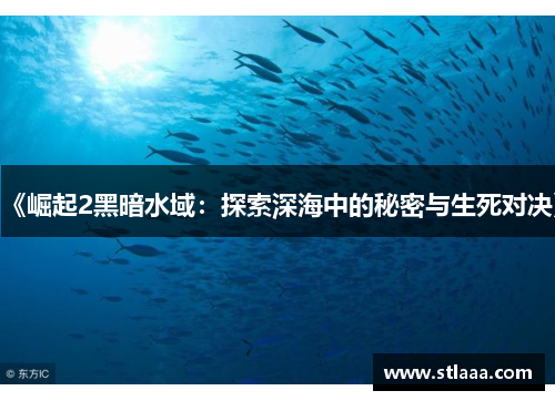 《崛起2黑暗水域：探索深海中的秘密与生死对决》